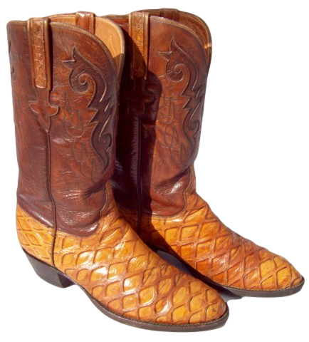 larry mahan boots cavender's