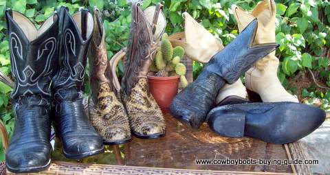 Old Cowboy Boots