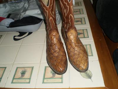 anteater boots for sale